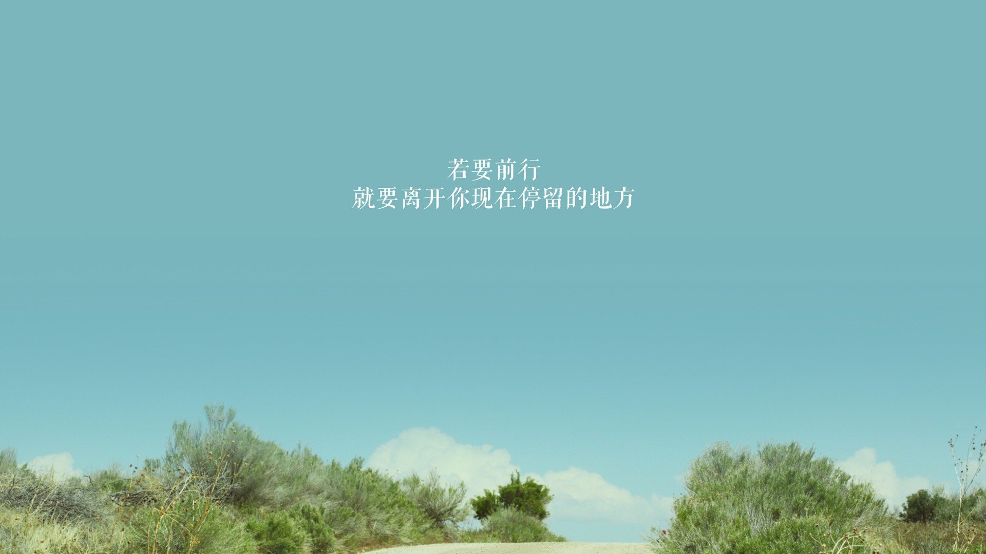 球员分析：场上表现最稳定的球员榜单，各位置最佳球员