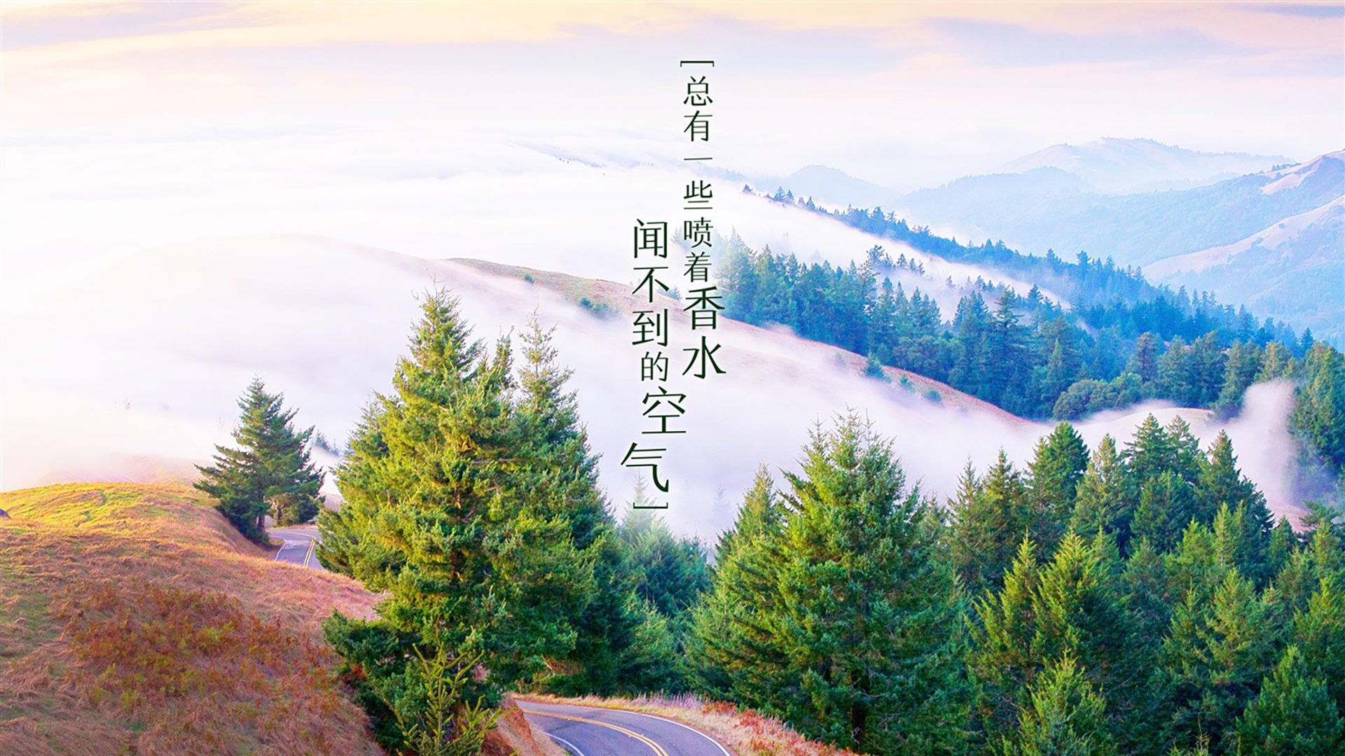 随机AC米兰-小胜都灵，继续领跑积分榜，ac米兰成绩