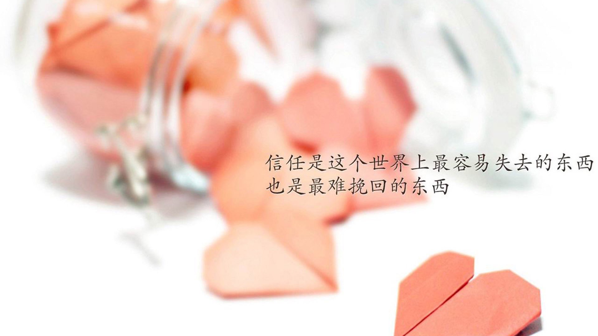 kaiyun 开云体育-最新乒乓球联赛积分榜，乒乓球联赛战况