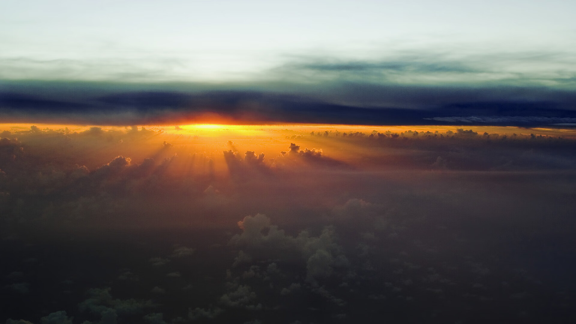 运动员日常营养标准首次公开发布,运动员营养要求