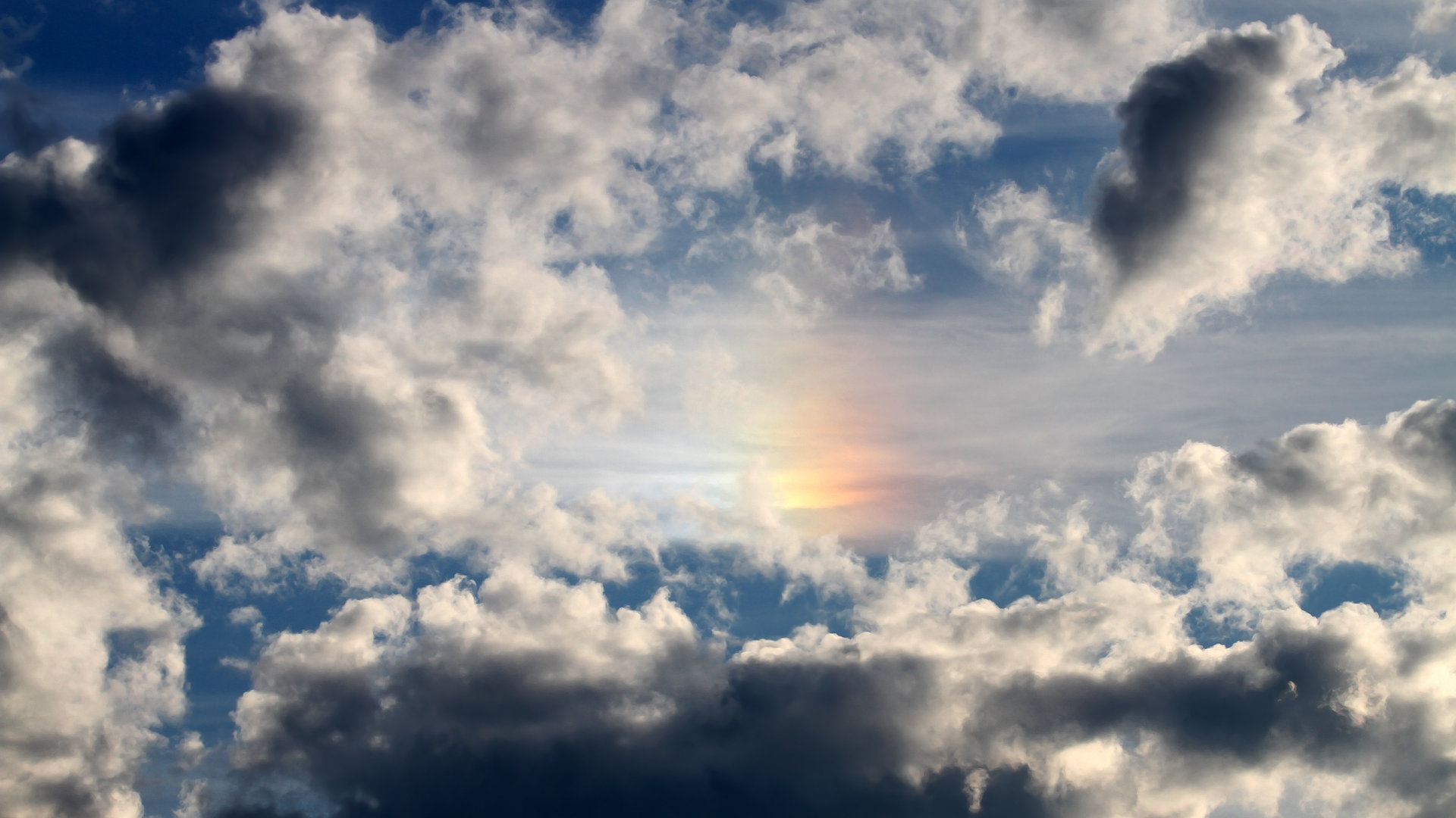 万乐天决赛发挥成大赢家,万乐天 游泳