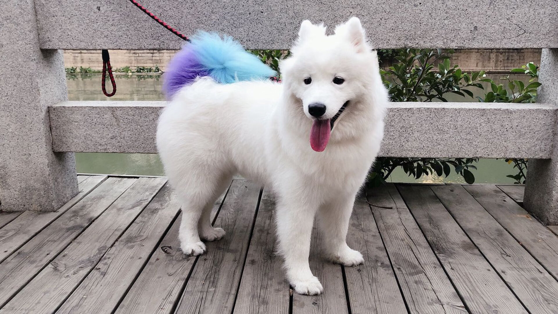 开云官方-中国足球缺乏欧洲联赛球员代表呈现发展断层，中国男足欧洲