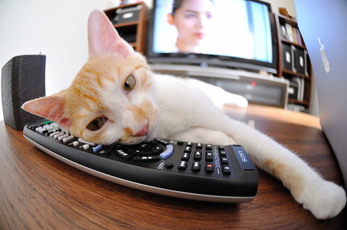 中小学篮球竞赛成绩纳入综合素质评估体系推动体教融合，中小学篮球比赛