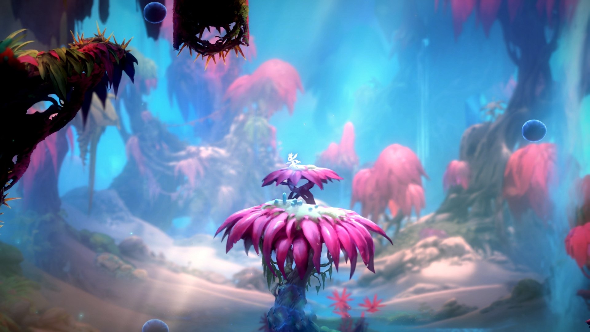 开云网页版-卢卡斯·梅尔滕斯强势出击800自决赛，卢卡斯 恩梅查