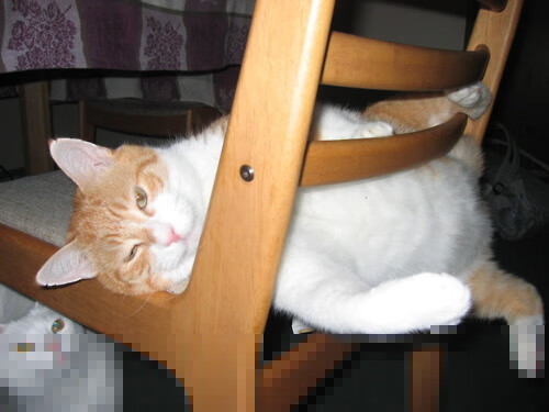 开云中国大陆-哈伦赛后分享心路历程与训练细节，哈伦舞教学视频