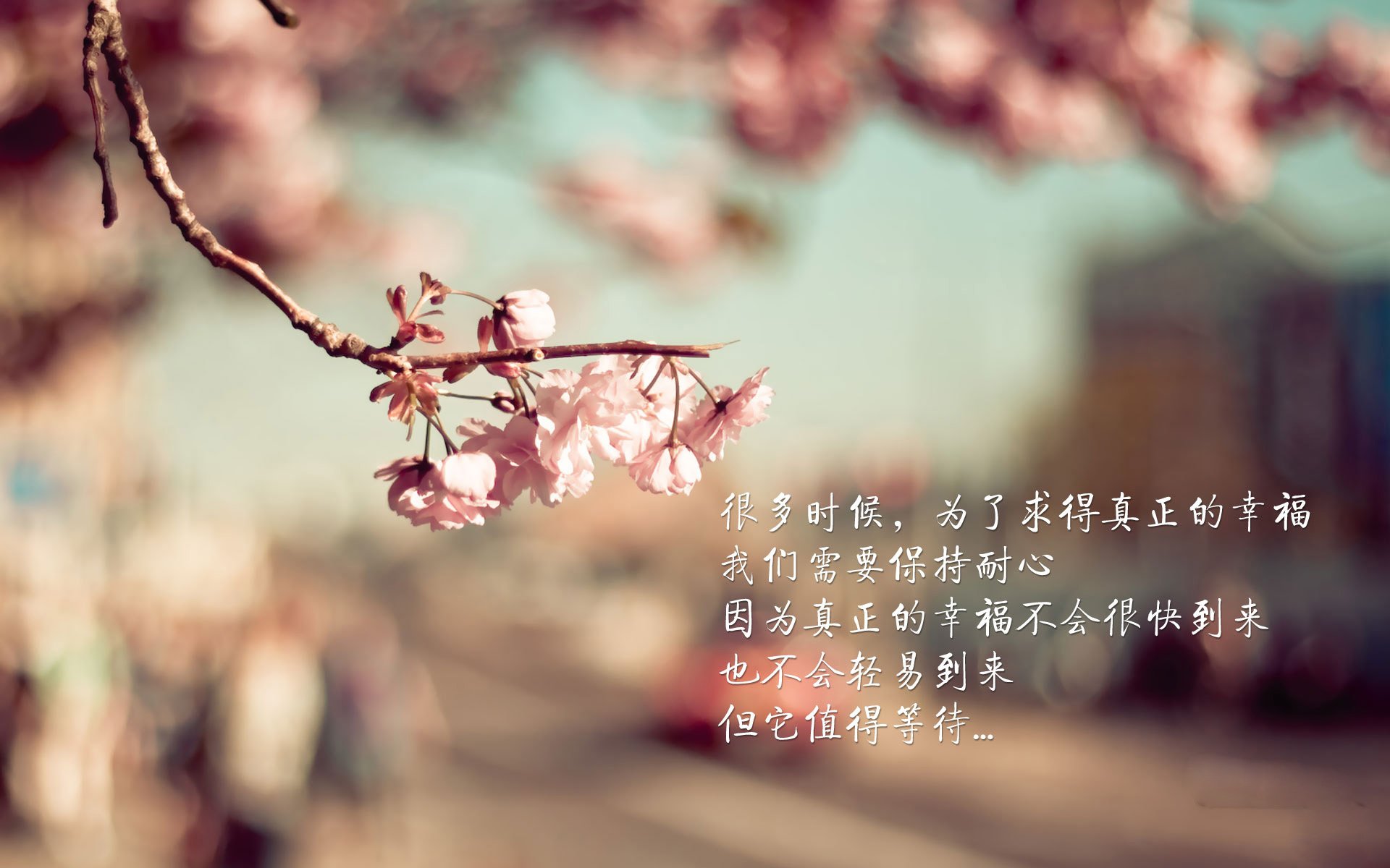 开云官网首页-国王连败终结萨博尼斯内线发威掌控篮板，国王连败终结萨博尼斯内线发威掌控篮板了吗