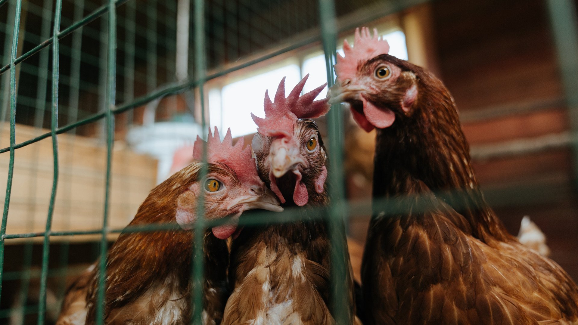 开云·体育全站登录地址-国足提前出线亚洲杯，国足惊险晋级亚洲杯