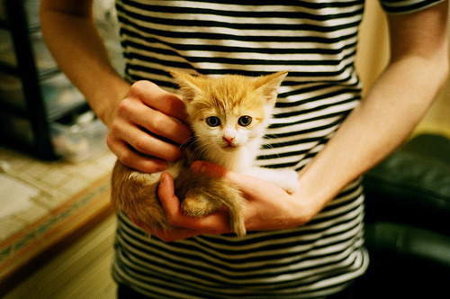 开云在线直播-塞内加尔男篮在非洲锦标赛中拼搏不懈，争取荣誉，塞内加尔男篮名单