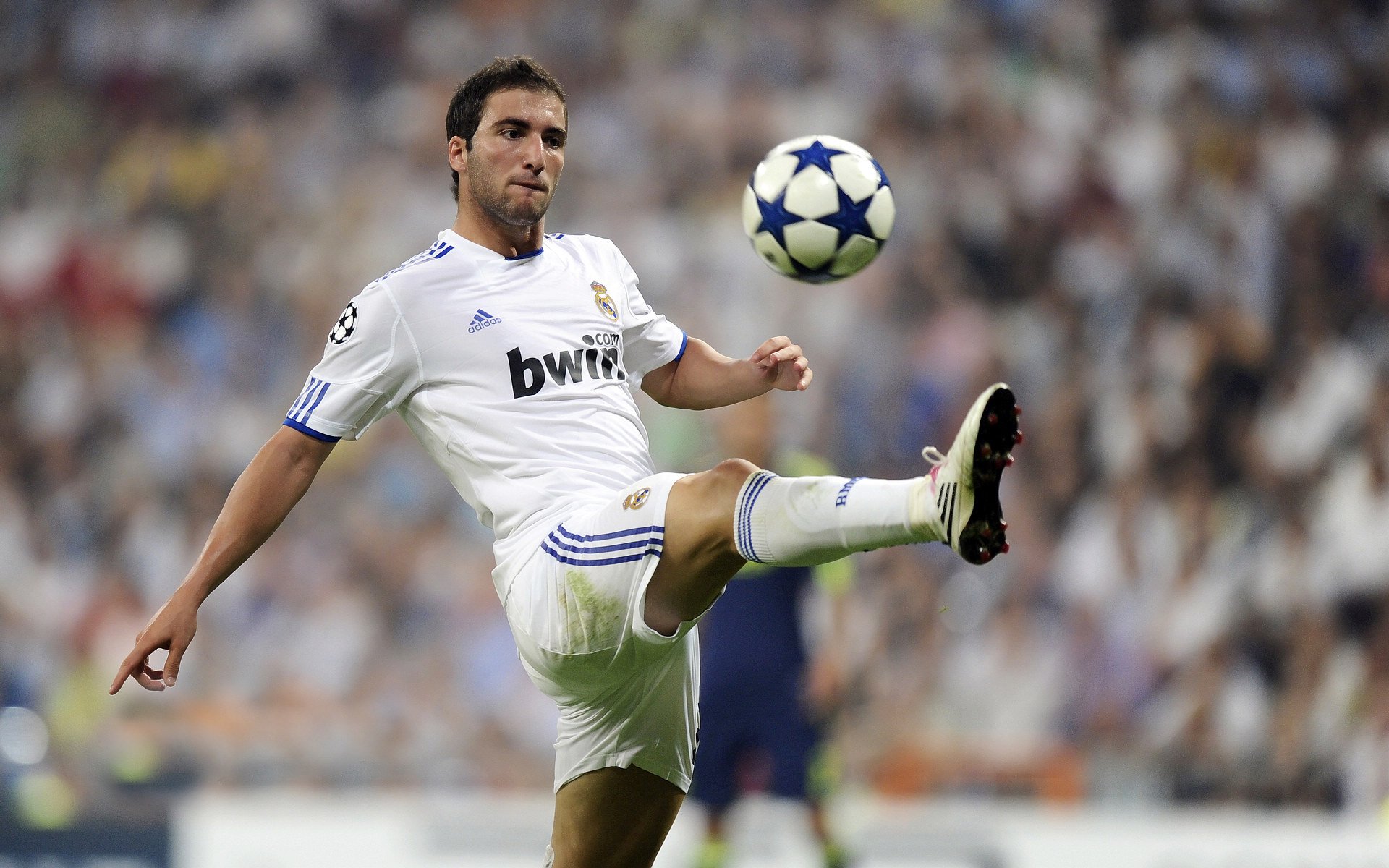 开云体育移动版-青少年“全面发展”体育文化项目在哈尔滨全面推广，普及多项运动